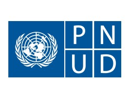Haïti - Reconstruction : 4 ans d’efforts du PNUD pour relever Haïti
