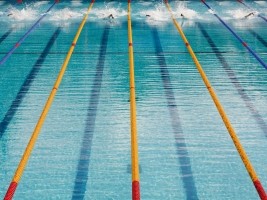 Haïti - Sports : Haïti membre de la FINA