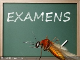 Haïti - Éducation : Les élèves atteint du Chikungunya ne perdront pas leur examen