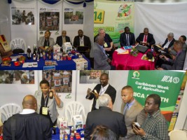 Haïti - Agriculture : 13ème édition de la semaine Caribéenne de l’agriculture