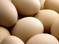 Haïti - Agriculture : Oeufs, volailles, cheptels, production déficitaire