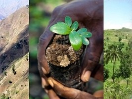 Haiti - Environment : 2,8M Euros for 7 border projects