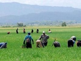 Haïti - Crise migratoire : Des unités mobiles pour normaliser la situation des travailleurs agricoles haïtiens