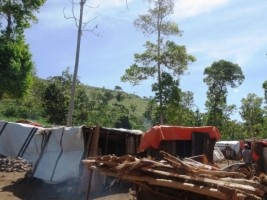 Haïti - Social : Les rapatriés de la RD survivent grâce à l'aide humanitaire...