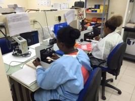 Haïti - France : Coopération accrue dans le domaine de la santé