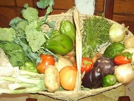 Haïti - Social : Prix des aliments en 2016, sombres perspectives...