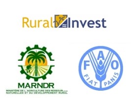 Haiti - Agriculture : Intensive training on rural investments