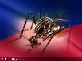 Haïti - FLASH : Naissance du premier bébé haïtien atteint de microcéphalie