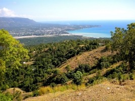Haiti - Jacmel : Agricultural revival in the commune La Montagne