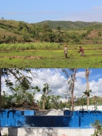 Haiti - France : Towards a relaunch of agriculture in the South