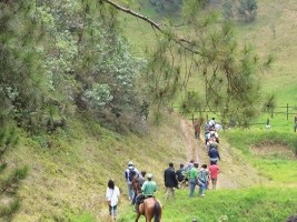 Haïti - FLASH : Opérations de spoliation dans une réserve écologique à Kenscoff