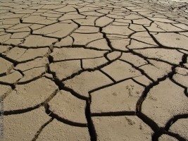 Haiti - Environment : Desertification gnaws the country...