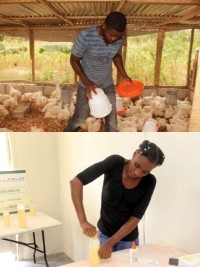 Haïti - Économie : Résultats positifs pour les gagnants du concours «Renesans»