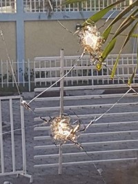 Haïti - FLASH : Vrai attaque du Parlement ou mise en scène ?
