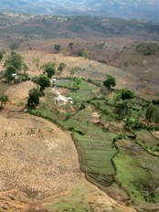 Haïti - Environnement : 20 millions pour protéger la bio-diversité et les bassins versants