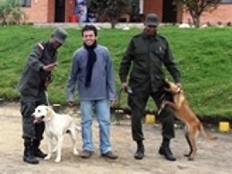 Haïti - USA : Bientôt des chiens dans les rangs de la PNH
