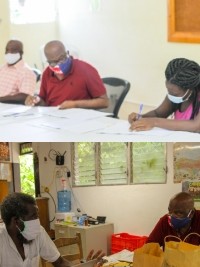 Haïti - Agriculture : Le plan de réponse agricole en marche