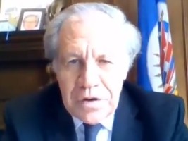 Haiti - Elections : Statement by the OAS General Secretariat