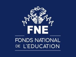 Haïti - FLASH : Qu’a fait le FNE de l’argent des taxes de la diaspora en 2020 ?