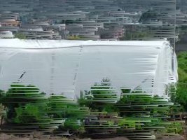 Haïti - FAO : L’agriculture urbaine et périurbaine une voie pour améliorer la sécurité alimentaire