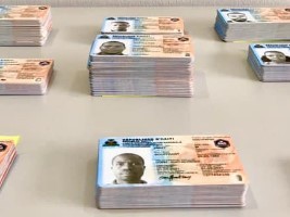 Haïti - Élections : Déjà plus de 4 millions d'électeurs inscrits