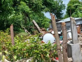 Haïti - Séisme : Les agriculteurs ont besoin d'un investissement immédiat