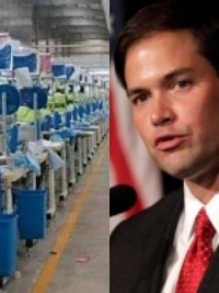Haïti - Économie : Le Sénateur Marco Rubio demande au Sénat de renouveler la loi HOPE et HELP pour Haïti