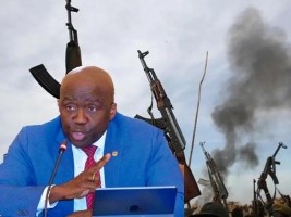 Haïti - OEA : Dégradation de la situation en Haïti (Déclaration Ambassadeur d’Haïti)