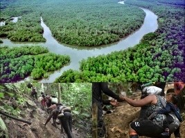 Haïti - Migration : Près de 33,000 haïtiens ont risqué leur vie dans la jungle du Darién en 6 mois 
