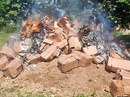 Haïti - Douanes : Les autorités haïtiennes brûlent 15,000 œufs dominicains à Belladère
