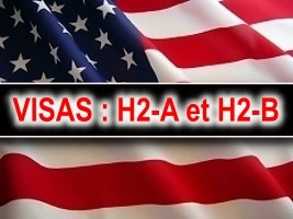 Haïti - FLASH : Visas H-2A et H-2B disponibles pour Haïti