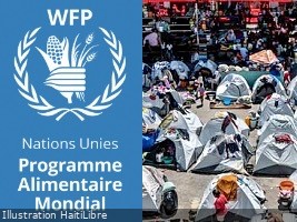 Haïti - Humanitaire : Plus de 50,000 personnes déplacés les 2 dernières semaines