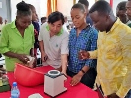 Haïti - Taïwan : Secrets des semences de riz de haute qualité en Haïti