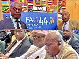 Haïti - Italie : Le Ministre Vernet Joseph à la 44e conférence plénière de la FAO