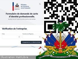 Haiti - Economy : All the details on the digitized Professional Identity Card (CIP)