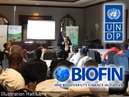 Haïti - Environnement : La biodiversité haïtienne, un levier économique majeur
