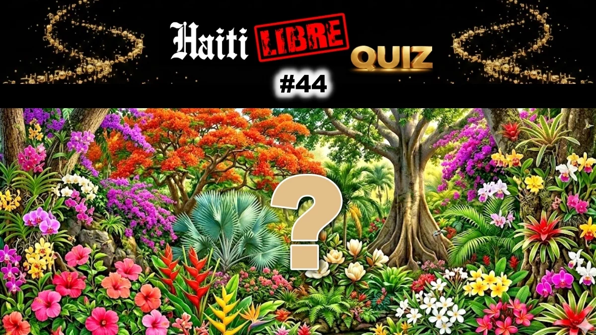 Haïti - Loisirs : Le Saviez-vous ? #44