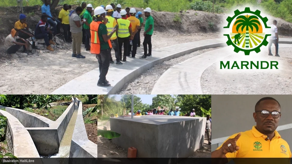 Haiti - Agriculture : The Ministry is transforming the rural landscape