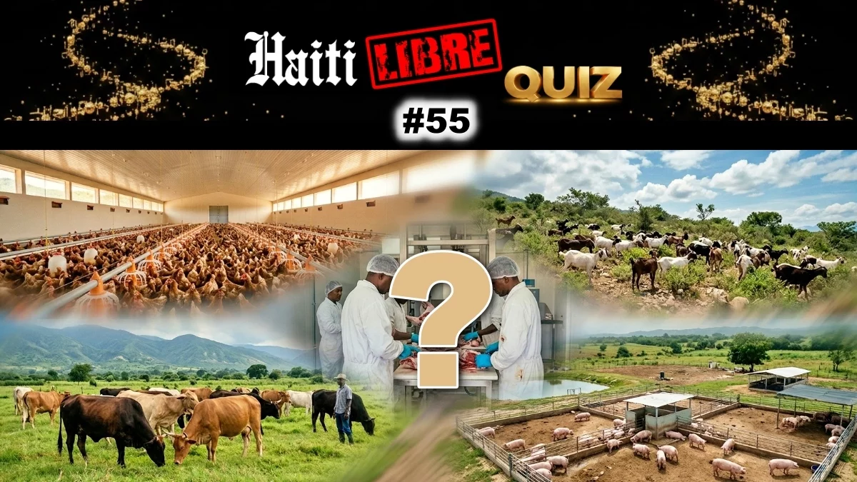 Haiti - Leisure : Did you know ? #55