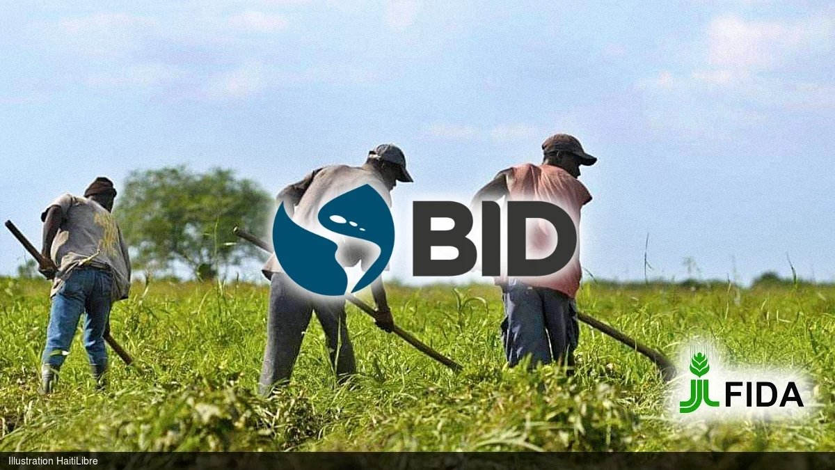 Haiti - North and Northeast : US$47.9 million to boost agricultural productivity