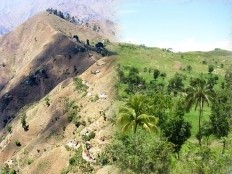 Haïti - Environnement : Le projet «Frontière verte» est sur les rails
