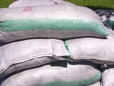 Haïti - Agriculture : Le Gouvernement fixe le prix des engrais