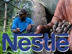 Haiti - Agriculture : Improvement of income and opportunities in the coffee sector