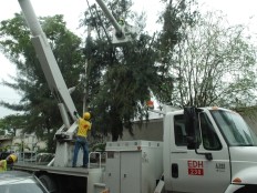 Haïti - Énergie : 15 des 32 circuits de l'EDH déjà opérationnels