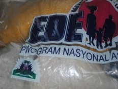 Haïti - Social : Lancement du programme «Ede Pep»