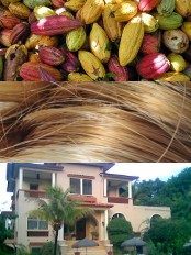 Haiti - Economy : Some good economic news