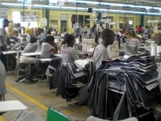 Haïti - République Dominicaine : La CODEVI, une solution à la migration illégale