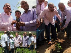 Haiti - Environment  : «Two countries, one island under the environmental protection»