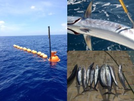 Haïti - Agriculture : Modernisation de la pêche artisanale
