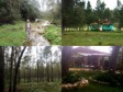 Haiti - Tourism : Project of shelters for hikers